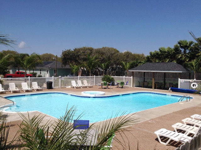 Pool and palm trees at Drifters RV Resort